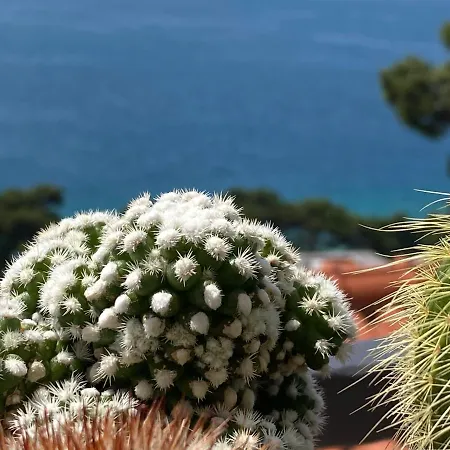 House Bartulovic Apartment Brela