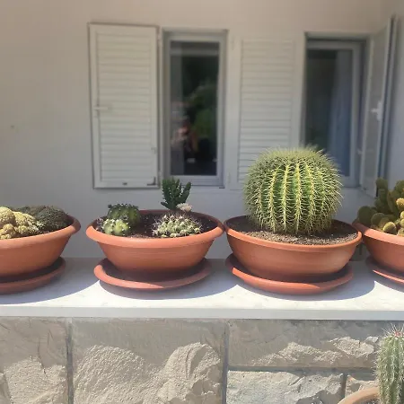 House Bartulovic 布雷拉