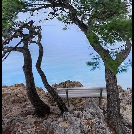 House Bartulovic 布雷拉