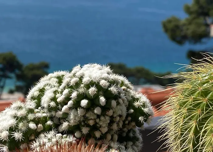 House Bartulovic Appartement Brela